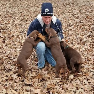 Meet your Posher, Pamella